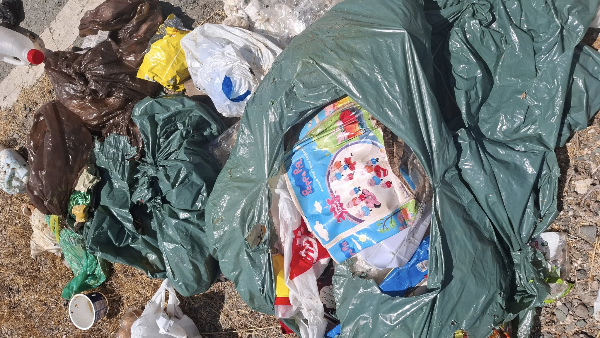 Σακκούλες σκουπιδιών στο πλάι του δρόμου.